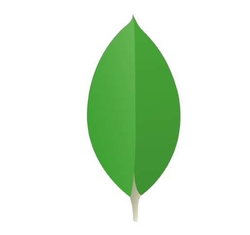 MongoDB